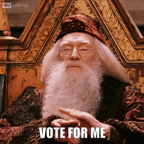 Dumbledore Vote For Me GIF