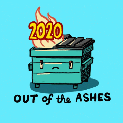 Dumpster Fire Out Of Ashes GIF