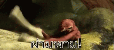 Dun Dun Dun Monkey GIF