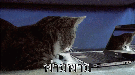 Dun Dun Dun Cat's Shocking Discovery GIF
