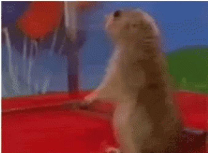 Dun Dun Dun Squirrel Dramatic Pause GIF