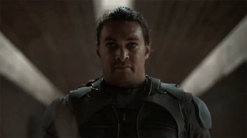 Dune Duncan Idaho GIF