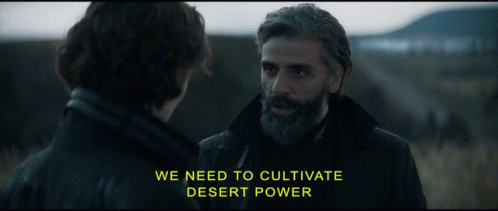 Dune Oscar Isaac GIF