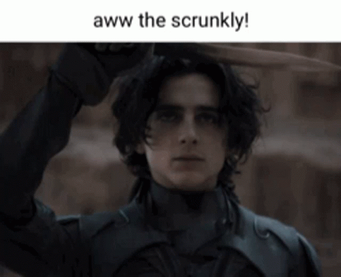 Dune Paul Atreides GIF