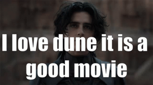 Dune Timothee Chalamet GIF