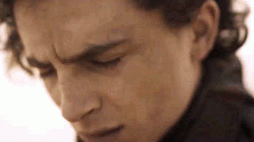 Dune Worried Muad'dib GIF