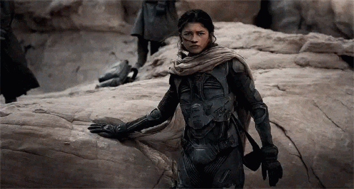 Dune Zendaya Spiderpunk GIF