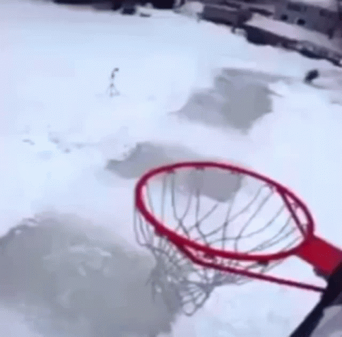 Dunk 498 X 490 Gif GIF