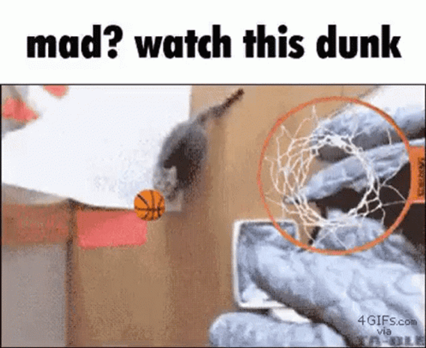 Dunk GIF