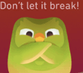 Duolingo Don't Let It Break GIF