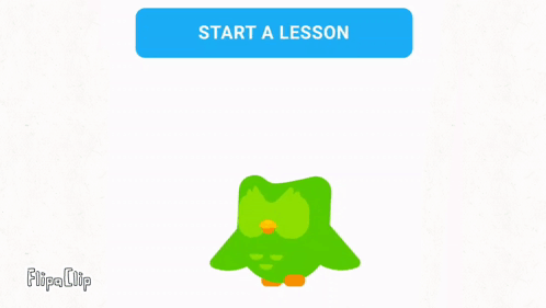 Duolingo Meme Start A Lesson GIF