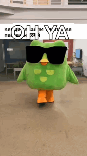 Duolingo Oh Ya Cool GIF