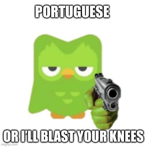 Duolingo Portuguese Or Blast Your Knees GIF