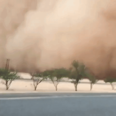 Dust Storm Moving Across Road GIF