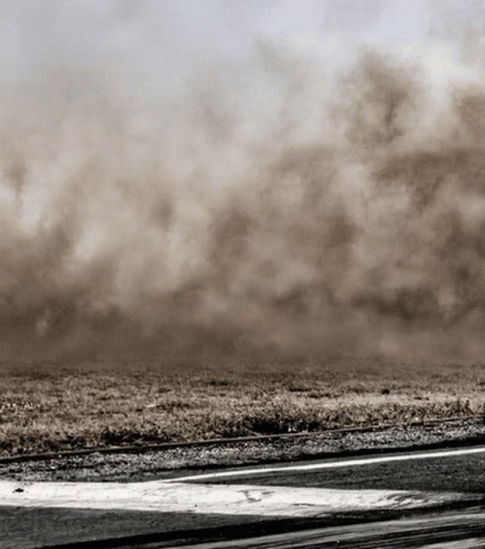 Dusty Field in Black and White