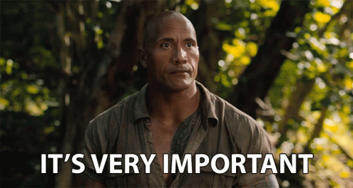 Dwayne Johnson Very Important GIF