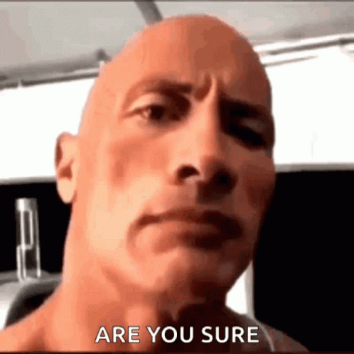 Dwayne Rock Eyebrow Are You Sure GIF