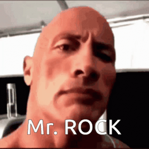 Dwayne Rock Eyebrow Mr. Rock GIF