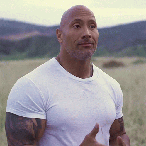 Dwayne Rock Eyebrows He's The Man GIF