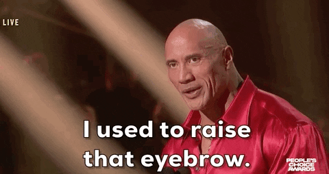 Dwayne Rock Raise That Eyebrow GIF