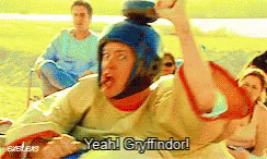 Dwight Gryffindor GIF