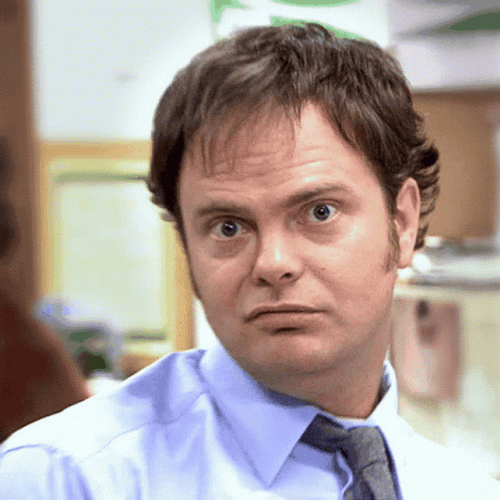 Dwight Schrute Not Amused GIF