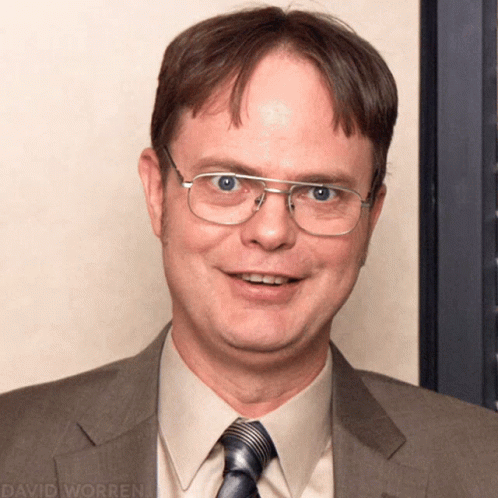 Dwight Schrute The Office Am I Right GIF