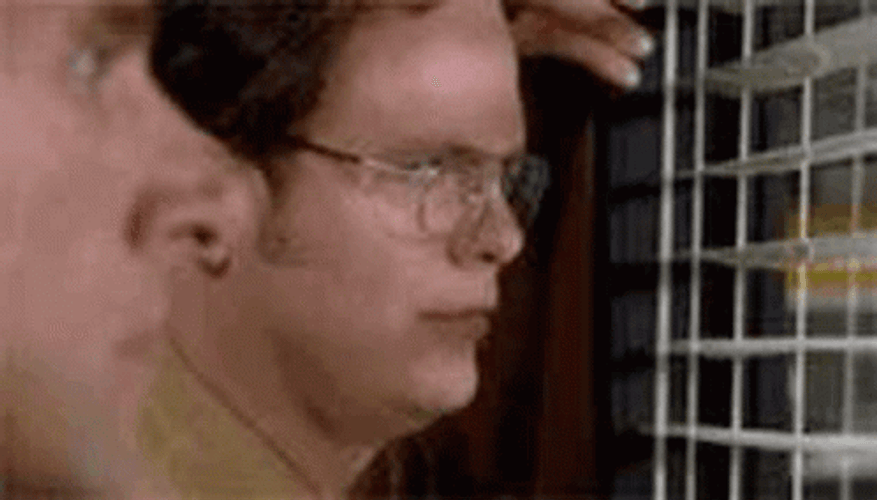 Dwight Schrute The Office Smirk GIF