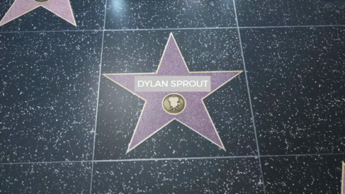 Dylan Sprout Hollywood Boulevard GIF