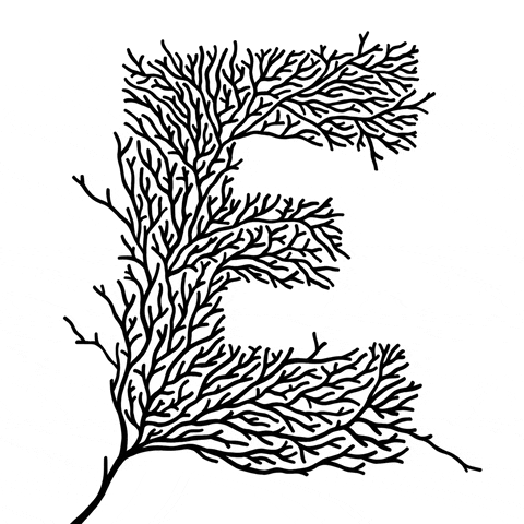 E Vines Lettering Art GIF