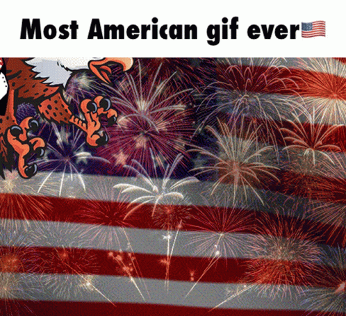 Patriotic Eagle Of America Flying GIF
