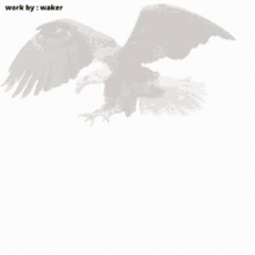 Bad News Eagle Appearing Graphics Art GIF