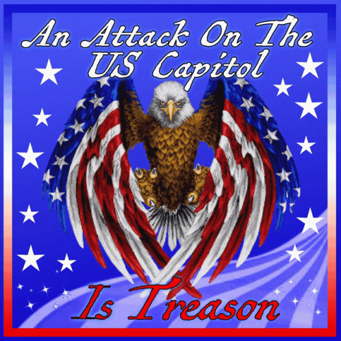 Eagle An Attack On The US Capitol Is Treason GIF