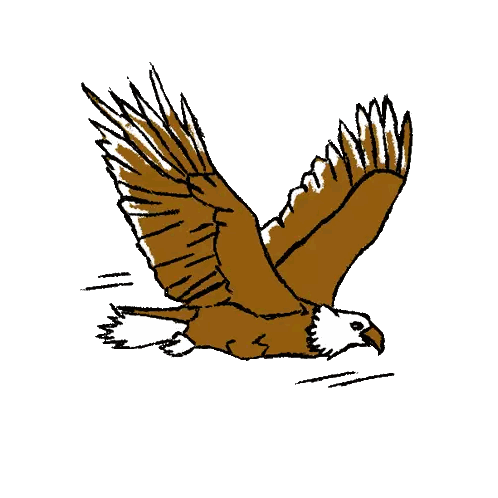 Eagle Flap Sticker