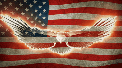Eagle Flying In Front Of American Flag GIF