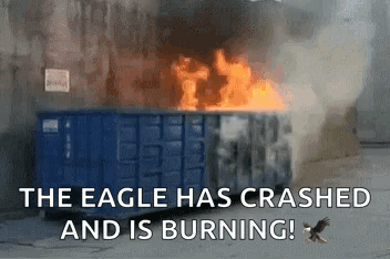 Eagle Flying Over Burning Dumpster