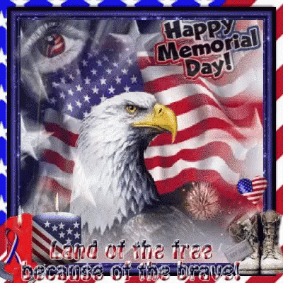 Eagle Happy Memorial Day Land of the Free