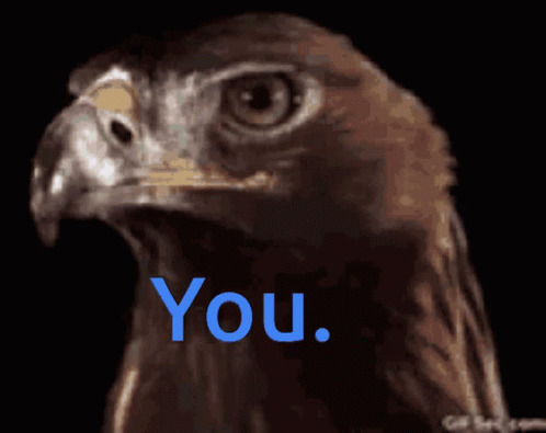 Eagle Head With Blue You