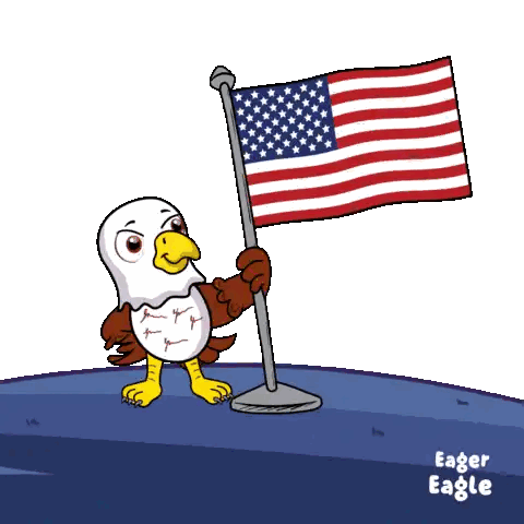 Eagle Holding American Flag Red White Boom
