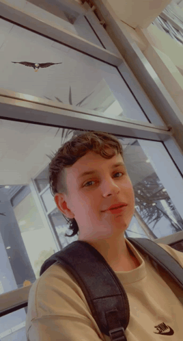 Eagle On Shoulder Landed GIF