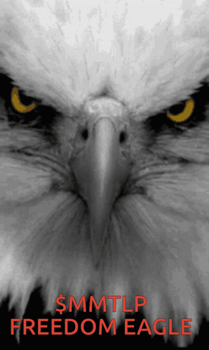 Eagle Poster with MMTLP Freedom