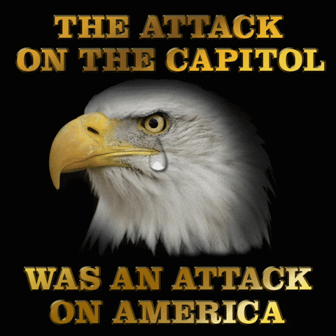 Eagle Riot Attack On America GIF