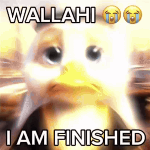 Eagle Saying Wallahi I Am Finished