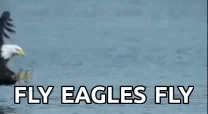 Fly Eagles Fly Eagle Catching Fish GIF