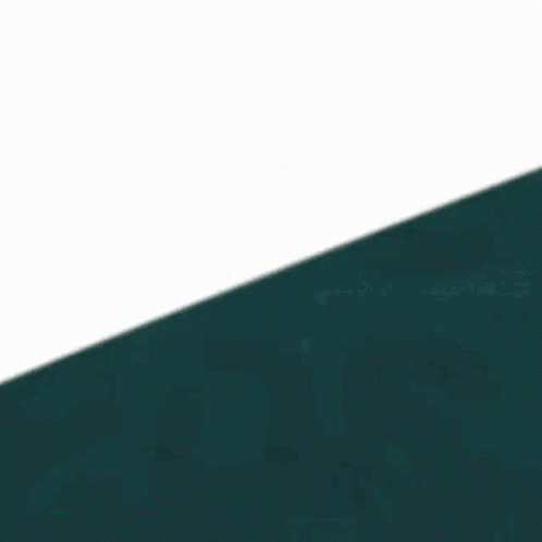 Eagles 498 X 498 Gif GIF