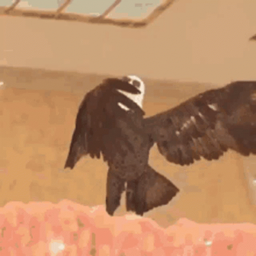 Eagles With Sunglasses Flapping Wings GIF