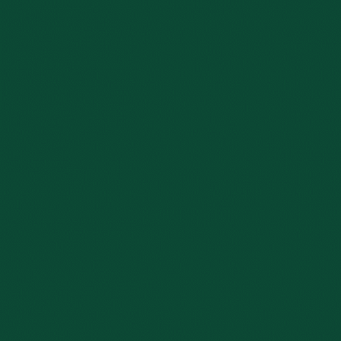 Eagles Logo Everything Matters Vote