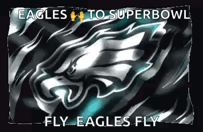 Eagles To Super Bowl Fly Eagles Fly Written On A Black Background GIF