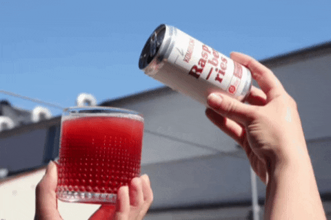 Early Morning Raspberries Kombucha GIF