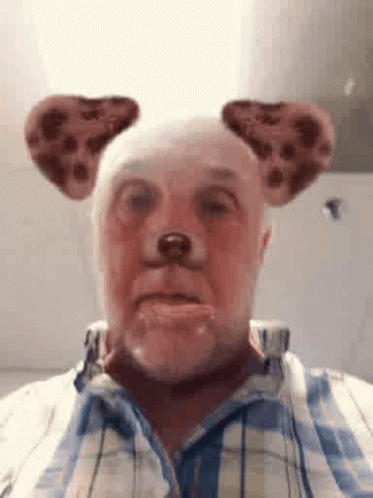 Ears And Tongue Dog Man Filter GIF